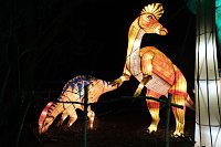 Bild: Peter Blei in den magischen Lichterwelten