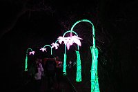 Bild: Peter Blei in den magischen Lichterwelten