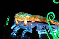Bild: Peter Blei in den magischen Lichterwelten