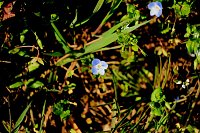 Bild: Osterspaziergang im Vorharz