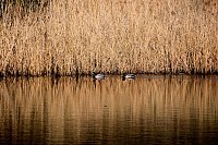 Bild: Osterspaziergang im Vorharz