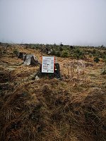 Bild: Jour Fixe im Nationalpark mit Sara Wegrzyk