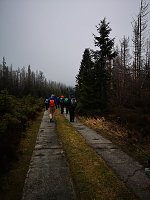 Bild: Jour Fixe im Nationalpark mit Sara Wegrzyk