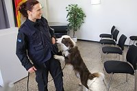 Bild: Besuch bei der Nordh&auml;user Hundestaffel