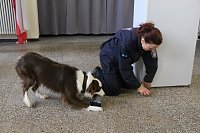 Bild: Besuch bei der Nordh&auml;user Hundestaffel