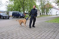 Bild: Besuch bei der Nordh&auml;user Hundestaffel