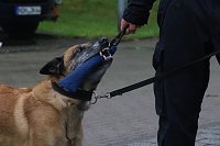Bild: Besuch bei der Nordh&auml;user Hundestaffel