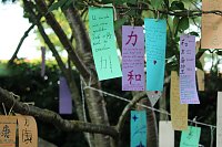 Sternenfest TANABATA im Japanischen Garten in Bad Langensalza Bild: Sternenfest TANABATA im Japanischen Garten in Bad Langensalza