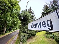 Bild: Drei B&auml;ume m&uuml;ssen zur Verkehrssicherung weichen