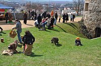 Bild: Ostern auf dem Petersberg