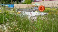 Bild: Stippvisite bei der Landesgartenschau in Bad Gandersheim