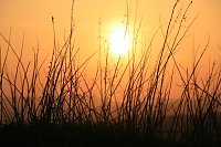 Bild: Sonnenuntergang - fotografiert vom Hainer Berg
