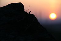 Bild: Sonnenuntergang - fotografiert vom Hainer Berg