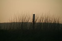 Bild: Sonnenuntergang - fotografiert vom Hainer Berg
