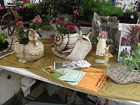 Bild: Blumen und mehr