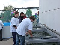 Bild: Fischerfest Auleben