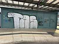 Bild: Graffiti-Schmiererei in Worbis