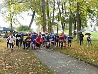 Bild: Stadtparklauf Sondershausen