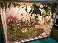 Bild: Vogelausstellung in Sondershausen
