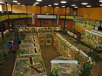 Bild: Vogelausstellung in Sondershausen