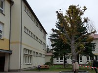 Bild: Teilsperrung Franzbergschule