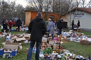 Weihnachtsmarkt im Tierheim