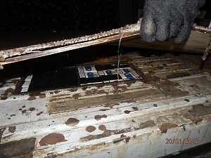 "Kippen" entdeckt