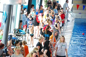 Stadtmeisterschaften im Schwimmen