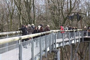 Hoch hinaus zum Frauentag