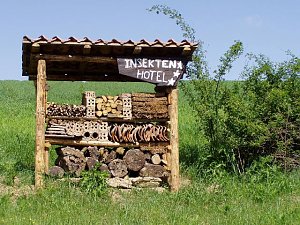 Insektenhotel