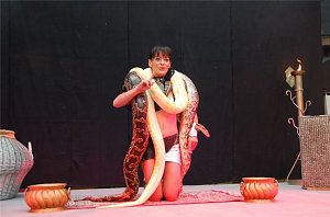 "Magie & Mythos" in der S&uuml;dharzgalerie