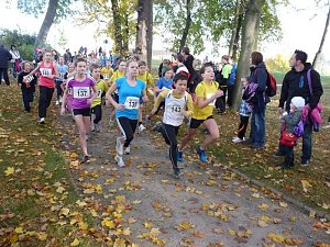 18. Stadtparklauf