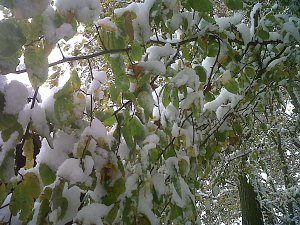 Herbst und Winter