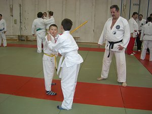 Kampfkunstvereine mit Schulung