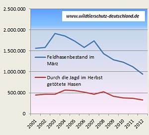 Bestand der Feldhasen...