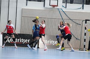 Tolles Spiel in der Wiedigsburghalle