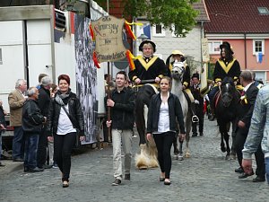 Festumzug Heimensteiner Kirmes