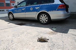Besuch bei der Polizei