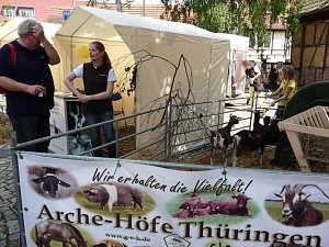 Thüringentag am Samstag