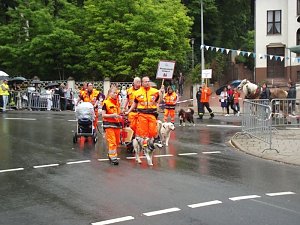 Weitere Bilder Festumzug (2)