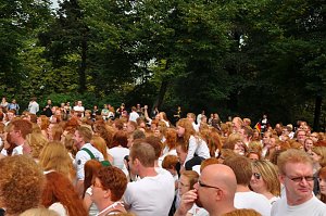&Uuml;berall rote Haare