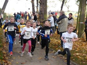 15. Stadtparklauf Sondershausen