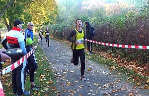 Stadtparklauf