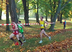 Stadtparklauf