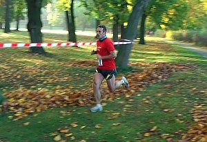 Stadtparklauf