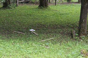 Sachbesch&auml;digung auf J&uuml;dischen Friedhof in Sondershausen