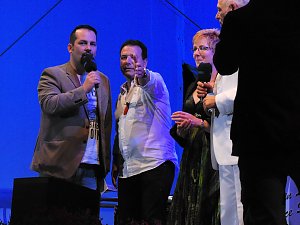 Sommernachtsball in Heiligenstadt