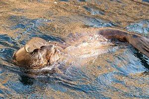 Besuch im Zoo am Meer