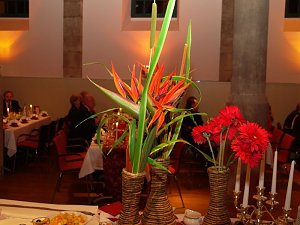 Schlossball 2009: Ein- und Ausblicke