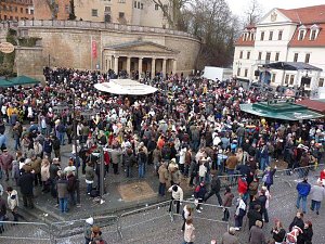 Rosenmontagsumzug2009